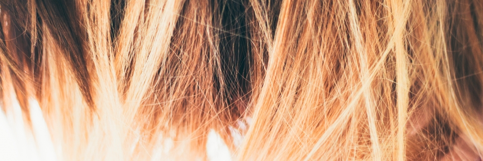 Salute dei capelli: rimedi contro le doppie punte